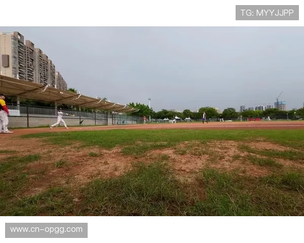 垒球趣味互动项目“高速投手”、“精准打击”吸引居民排长队体验